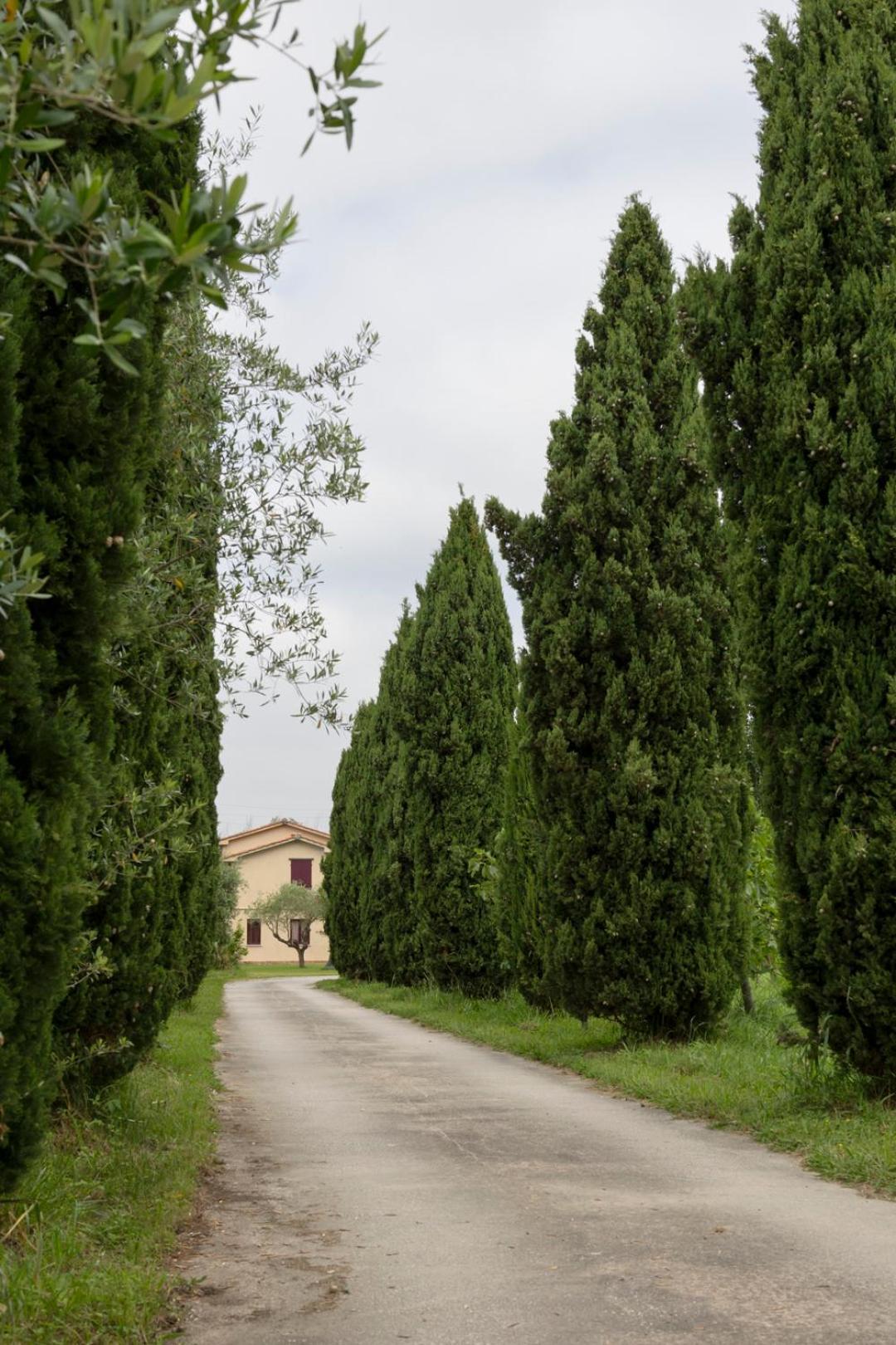 Апартаменти Fattoria Il Giardo П'єтразанта Екстер'єр фото