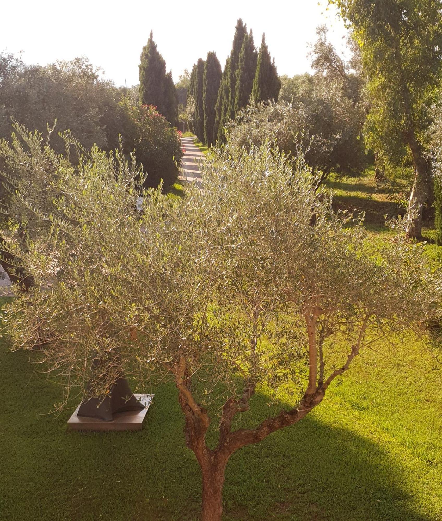 Апартаменти Fattoria Il Giardo П'єтразанта Екстер'єр фото