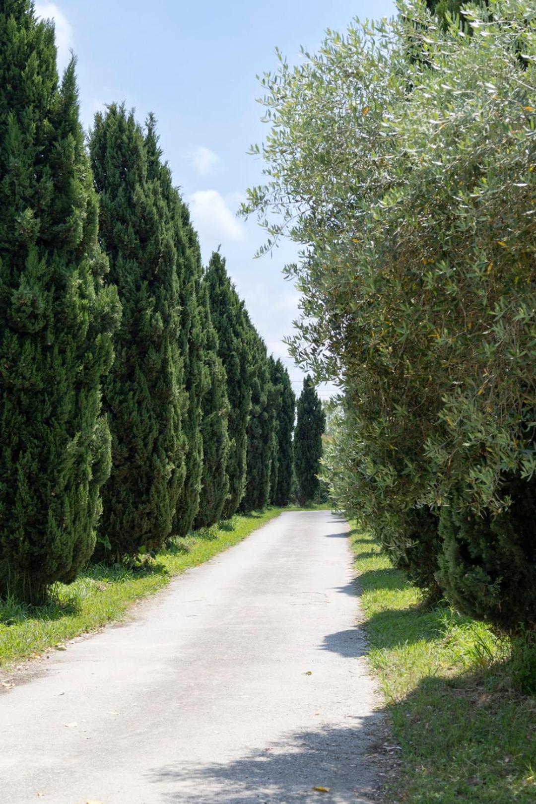 Апартаменти Fattoria Il Giardo П'єтразанта Екстер'єр фото